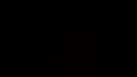 OnlyFans Titelbild cece-rose