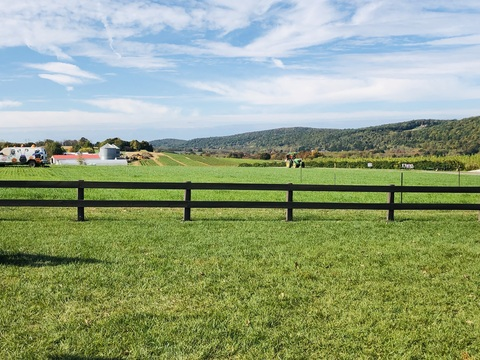 OnlyFans header picture celeb