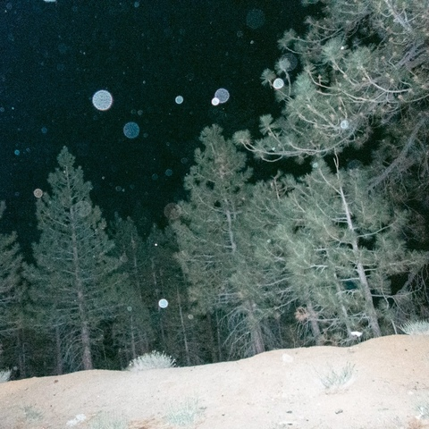 AlleenFans hoofdafbeelding ch1111oe