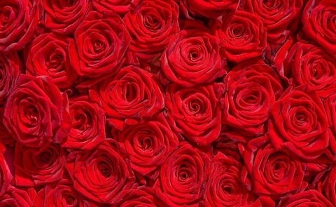 Immagine di intestazione OnlyFans charll