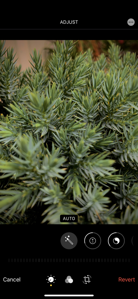 OnlyFansのヘッダー画像 chicagofatty