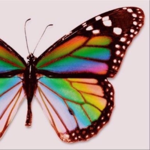 OnlyFans Titelbild chocolatehighh__