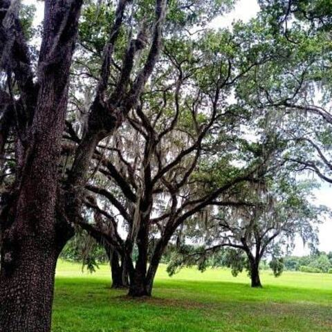 OnlyFansのヘッダー画像 cliff