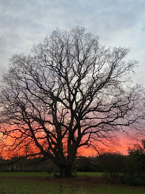 Obraz nagłówkowy OnlyFans #nazwa_użytkownika#