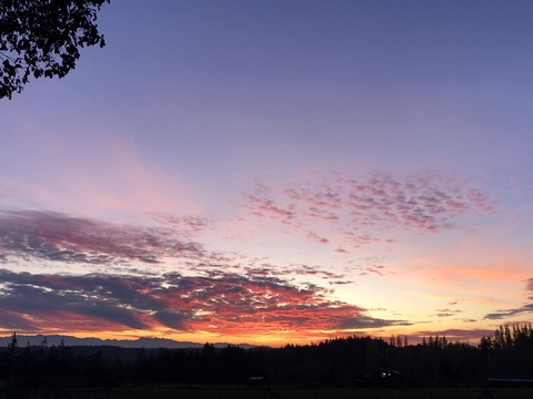 OnlyFans Titelbild cryitssimba