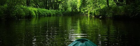 Gambar header OnlyFans curvyana