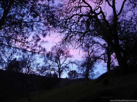 صورة رأس OnlyFans cutelilkitten