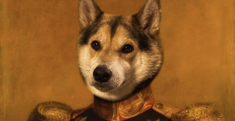 OnlyFans Titelbild d0lldaddy