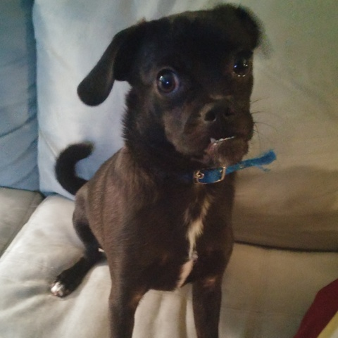 Gambar header OnlyFans dallas