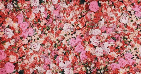 Imagen del encabezado de OnlyFans de damiensoft