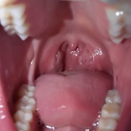 Photo de profil OnlyFans de dana.the.lady.vore