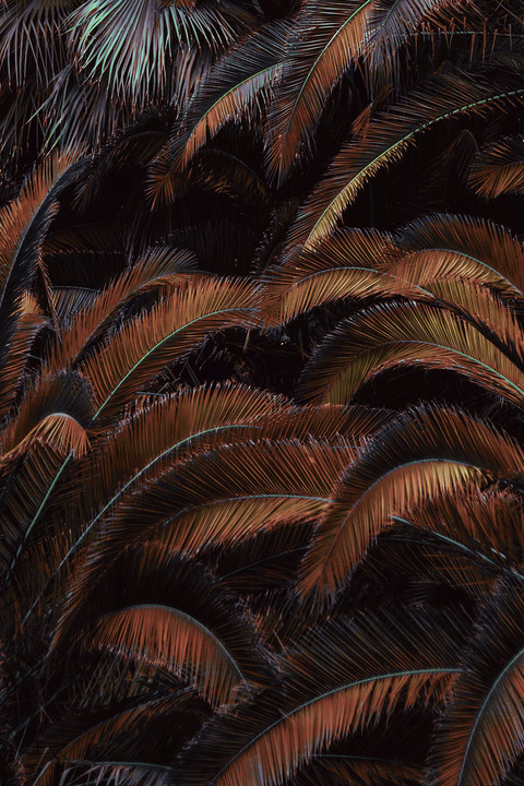 Imagen del encabezado de OnlyFans de daniellepale