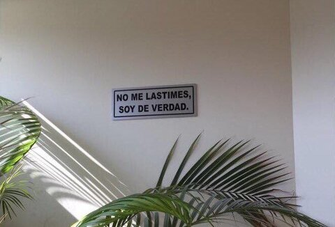 Image d'en-tête OnlyFans dante-alighieri