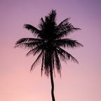 Imagen de perfil de OnlyFans de dawny.love.0