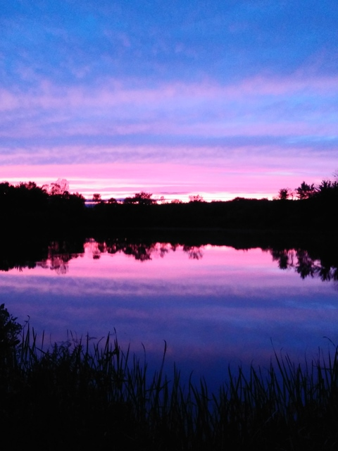 OnlyFans Titelbild ddy_alex