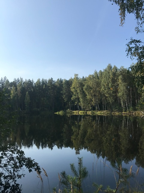 Снимка на заглавието на OnlyFans demerrara