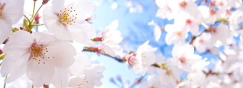 Imagen del encabezado de OnlyFans de divinebrat