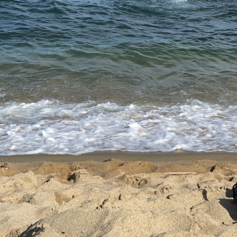 AlleenFans hoofdafbeelding domhairy