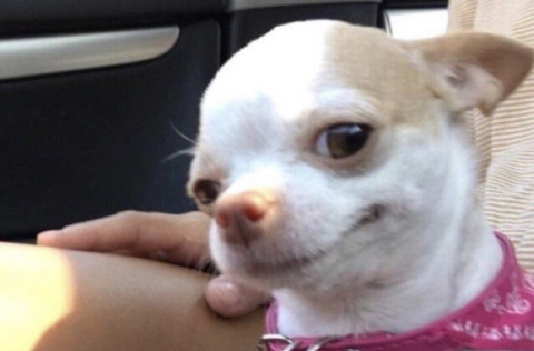 Image d'en-tête OnlyFans dreezydreaa