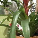 Gambar profil OnlyFans ds6789