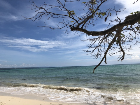 Снимка на заглавието на OnlyFans dxclx