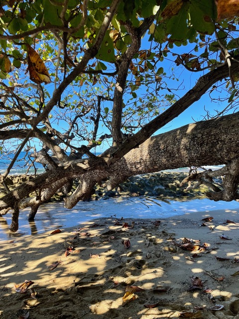 OnlyFans başlık resmi eastcoastcrf