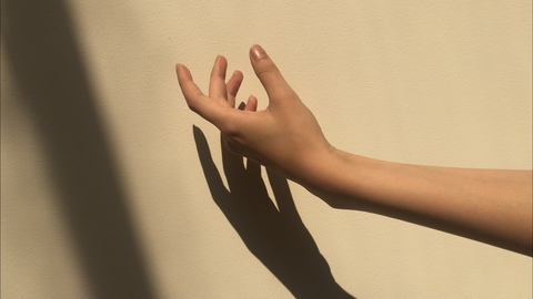 OnlyFans başlık resmi eebelttil