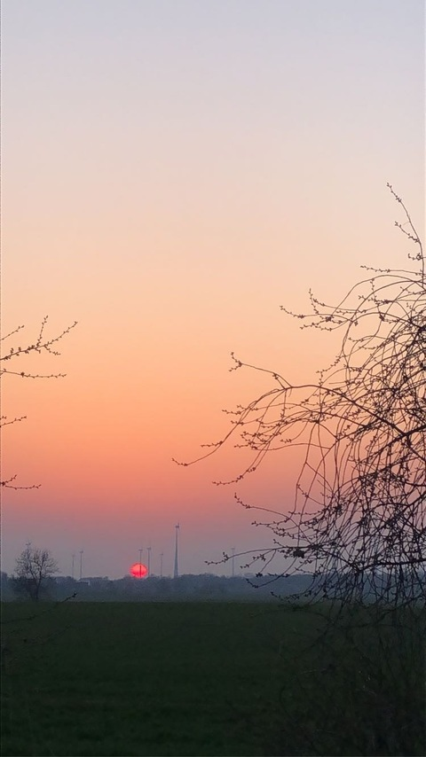 ओनलीफैंस हेडर चित्र eklektyzm