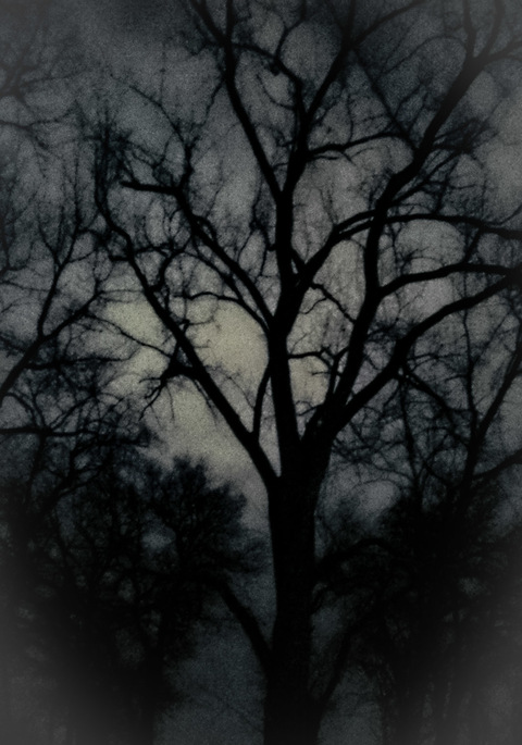 OnlyFans Titelbild eldiresstreet