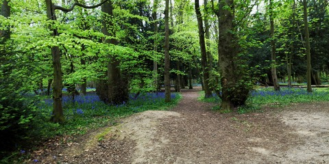 emily-nightt의 OnlyFans 해더 사진