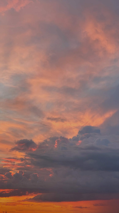 صورة رأس OnlyFans emily-t