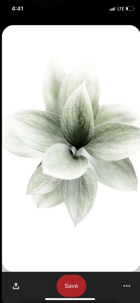 Image d'en-tête OnlyFans epaella