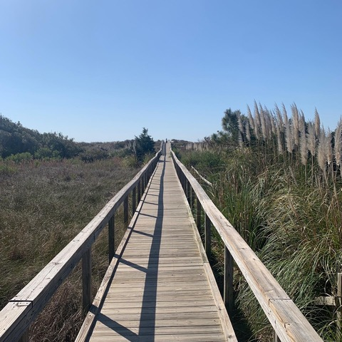 AlleenFans hoofdafbeelding epdtravels