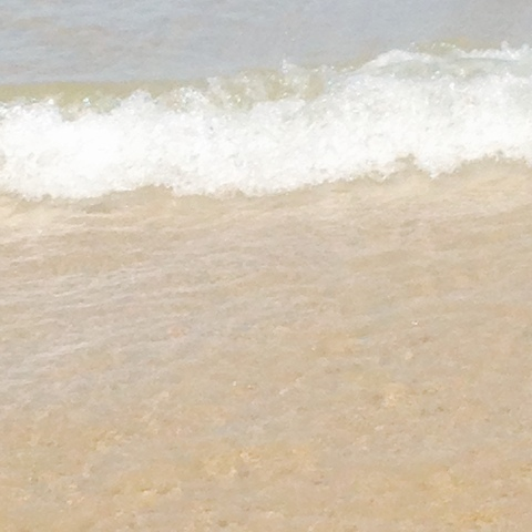 Image d'en-tête OnlyFans erotica_1