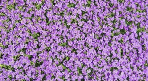 estefaniaomg의 OnlyFans 해더 사진