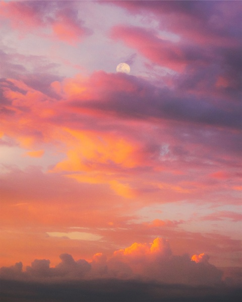 Gambar header OnlyFans f0rest_fairy