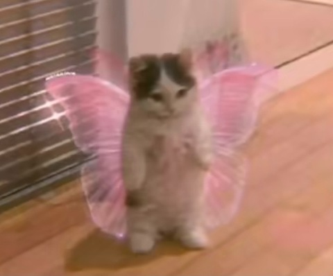 OnlyFans Titelbild fiorellagg