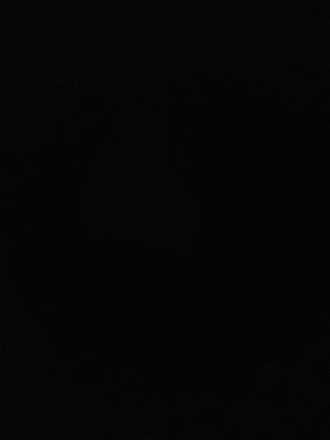 flokalafontaine의 OnlyFans 해더 사진