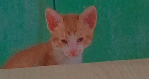 Снимка на заглавието на OnlyFans fluffydumb