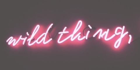 Снимка на заглавието на OnlyFans fordisplayonly