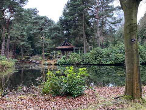 Снимка на заглавието на OnlyFans forest_green91