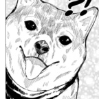 OnlyFansのプロフィール写真 foreverwandering