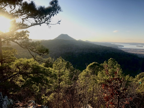 Obraz nagłówkowy OnlyFans #nazwa_użytkownika#