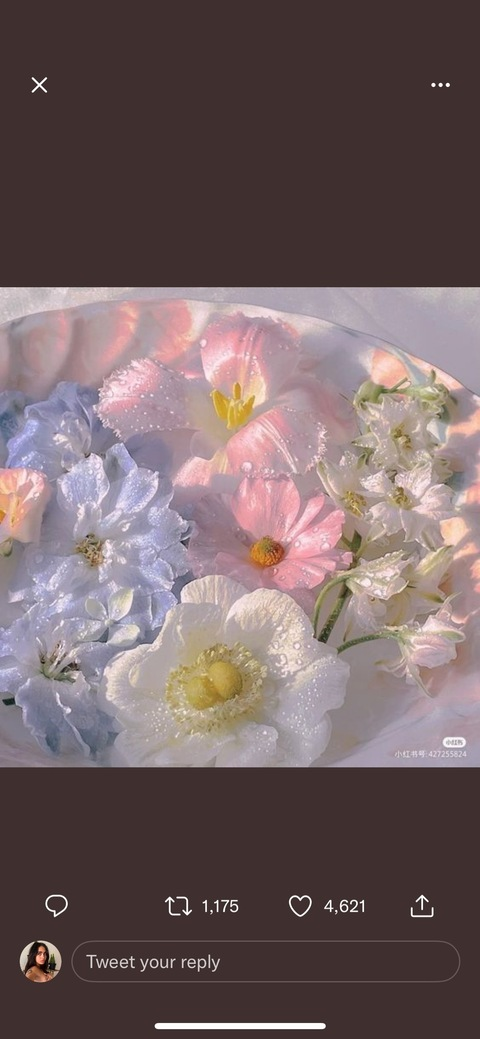 AlleenFans hoofdafbeelding gaiaembodiment