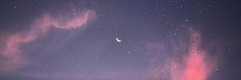 صورة رأس OnlyFans gassylexi