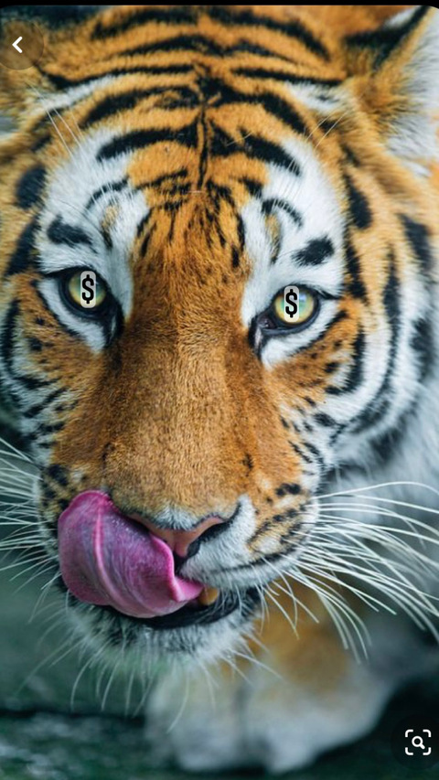 Imagen del encabezado de OnlyFans de geenahhoe