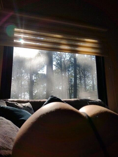 ओनलीफैंस हेडर चित्र gloriariosz