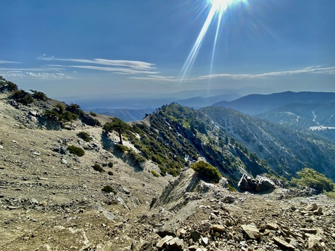 AlleenFans hoofdafbeelding godsharkxxx