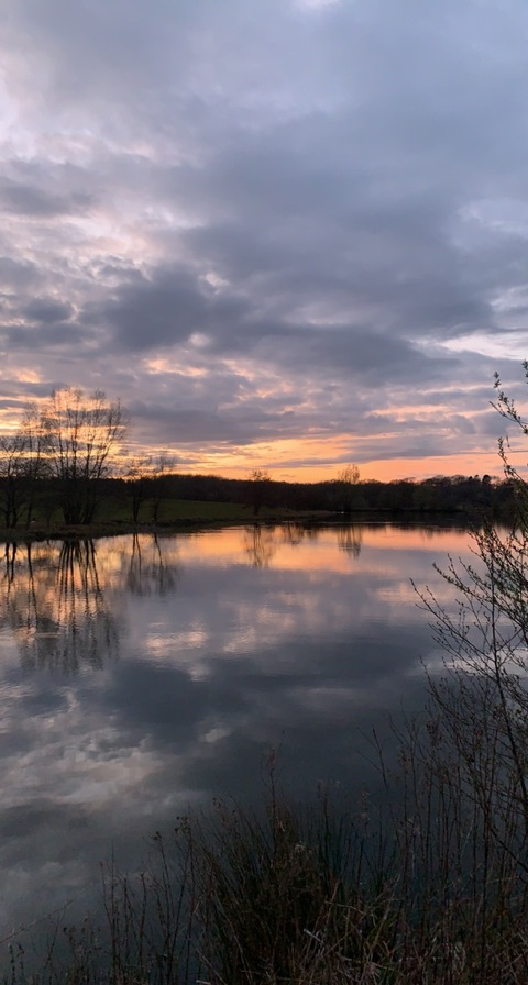 OnlyFans Titelbild gothottie