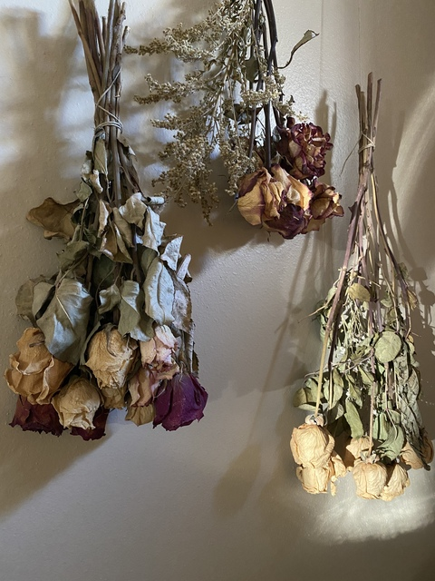 Image d'en-tête OnlyFans gothprincess00